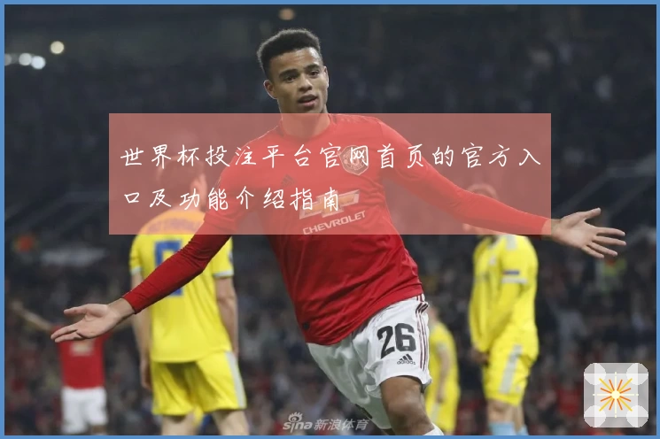 世界杯投注平台官网首页的官方入口及功能介绍指南