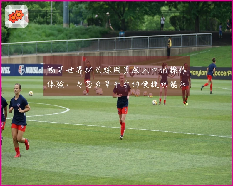 畅享世界杯买球网页版入口的操作体验，与您分享平台的便捷功能和使用心得