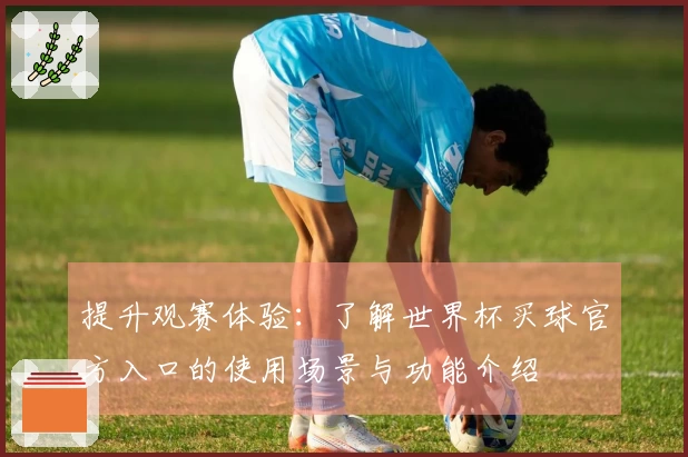 提升观赛体验：了解世界杯买球官方入口的使用场景与功能介绍