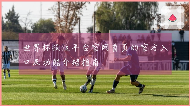 世界杯投注平台官网首页的官方入口及功能介绍指南