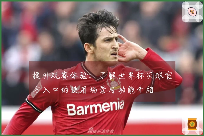 提升观赛体验：了解世界杯买球官方入口的使用场景与功能介绍